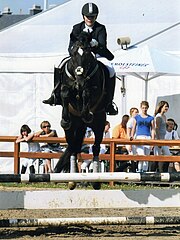 Le photographe s'est placé ici au pire endroit : un cheval pris de face quand il saute donne une image illisible, tandis que le fond blanc fait un effet de contre-jour pour le sujet principal.