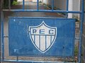 Paraense Esporte Clube