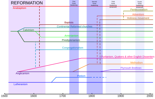 Major Protestant orientations and their relationships to each other. However, the actual history of influences is more complicated due to the influence of Nicodemites. For example, in areas where open Calvinism was outlawed, Crypto-Calvinists within Lutheran churches continued to exert an influence. Additionally, later cross denominational movements such as Pietism, Rationalism, and the Charismatic Movement complicate the history of Protestant traditions. Additionally, Crypto-Protestantism is not shown at all on this chart. Protestant branches.svg