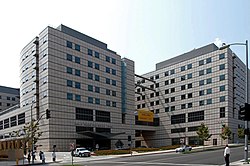 Two white multi-floored squared buildings with blue colored windows. There is a street and clear sky surrounding the buildings.