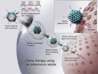 Gene therapy therapeutic approach that involves inserting nucleic acids into the patients cells