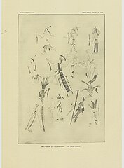 Red Horse Ledger art of Lakota Killed at Little Bighorn. Published as Plate XLIV