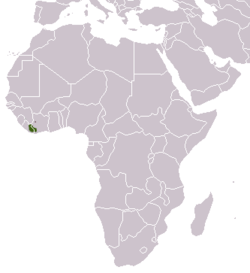 Distribución del linsang de Leighton (verde - existente, rojo - probablemente exista)