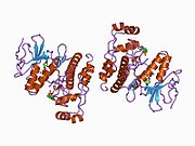 PDB 1cm8 EBI.jpg