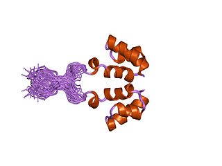 <span class="mw-page-title-main">Integrase</span> Class of enzymes