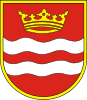 Coat of arms of Drzewica