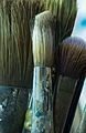 * Nomination Paint brushes. --Rhododendrites 03:18, 4 January 2017 (UTC) * Promotion Good quality. --Kritzolina 04:40, 5 January 2017 (UTC)