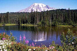 Mount Rainier