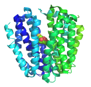 <span class="mw-page-title-main">Major facilitator superfamily</span>