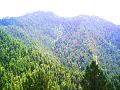 Abbottabad hill station