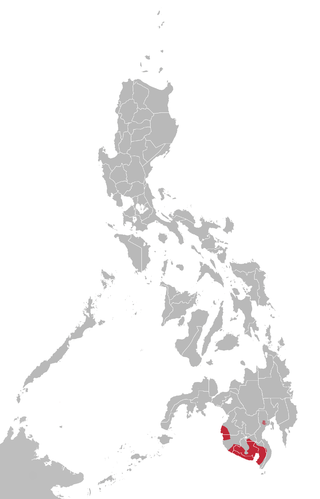 <span class="mw-page-title-main">South Mindanao languages</span> Subgroup of the Austronesian language family