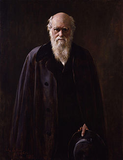 A portrait of Charles Darwin