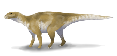 Eolambia caroljonesa restoration