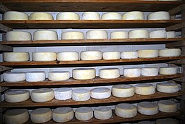 Fromages Ossau-Iraty 001.jpg