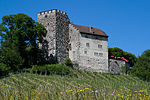 Vorschaubild für Habsburg (Burg)