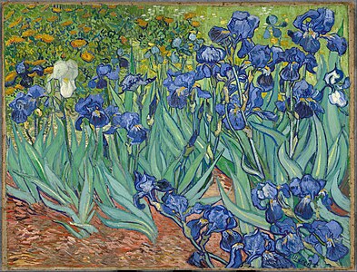 Irises, by Vincent van Gogh