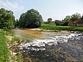 Tille, depuis le pont de la Rue Bizot (Mailly-l'Eglise)