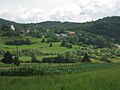 Landscape in Lesno Brdo