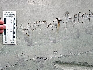 <span class="mw-page-title-main">Stylolite</span> Serrated surface within a rock mass