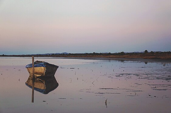 Lonely Boat in Divjake-Karavasta National Park. Photograph: Blerina Kaja