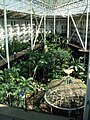 Garden Conservatory atrium, Opryland Hotel