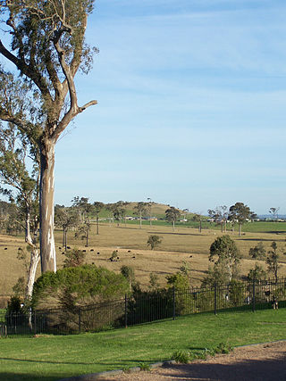 <span class="mw-page-title-main">Brandy Hill, New South Wales</span> Suburb of Port Stephens Council, New South Wales, Australia