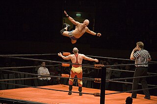 <span class="mw-page-title-main">Professional wrestling</span> Form of athletic theater