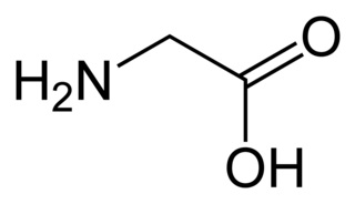 <span class="mw-page-title-main">Glycine receptor</span> Widely distributed inhibitory receptor in the central nervous system