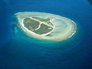 <span class="mw-page-title-main">Lady Elliot Island</span> Coral cay located in the Great Barrier Reef