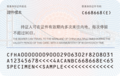 The reverse of the current permit for non-Chinese citizens (since 2024)