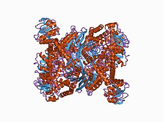 <span class="mw-page-title-main">ELFV dehydrogenase</span>