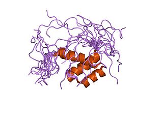 <span class="mw-page-title-main">SATB2</span> Protein-coding gene in the species Homo sapiens