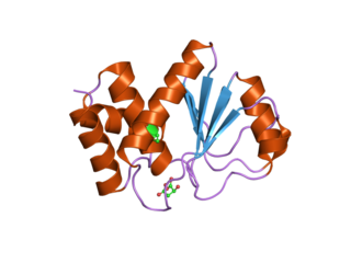 <span class="mw-page-title-main">DUSP23</span> Protein-coding gene in the species Homo sapiens