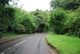 Petworth Rd - geograph.org.uk - 2608786.jpg