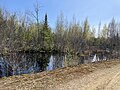 Alternation of ponds, shrub and wooded environments, Saint-Maurice