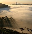 Dämmerungsstrahlen am Rand eines Nebelmeeres vor San Francisco