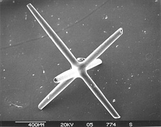 <span class="mw-page-title-main">Sponge spicule</span> Structural element of sea sponges