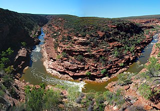 <span class="mw-page-title-main">Murchison River (Western Australia)</span> River in Western Australia