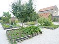 Abbaye de Landévennec : le jardin médiéval (jardin des simples) reconstitué