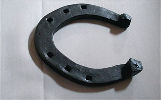 <span class="mw-page-title-main">Caulkin</span> Blunt projection on a horseshoe