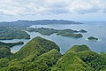 海岸沿いに広がる森林（長崎県対馬）