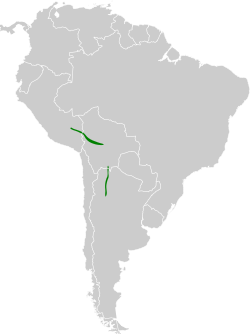 Distribución geográfica del canastero estriado.