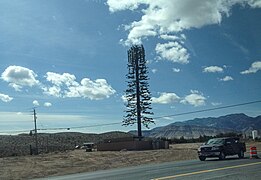 Hidden Cell Tower Tree (17303301800).jpg