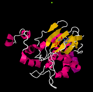 <span class="mw-page-title-main">Inositol-trisphosphate 3-kinase</span> Class of enzymes