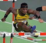 Omar McLeod wurde Sechster