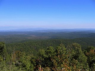 <span class="mw-page-title-main">Ouachita National Forest</span> American forest