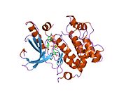 PDB 1s9j EBI.jpg