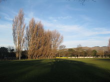 Somerfield Park.JPG