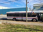 White, blue and red bus behind a telephone pole