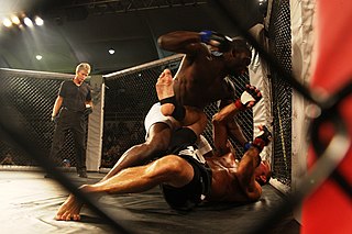 <span class="mw-page-title-main">Derek Brunson</span> American mixed martial artist